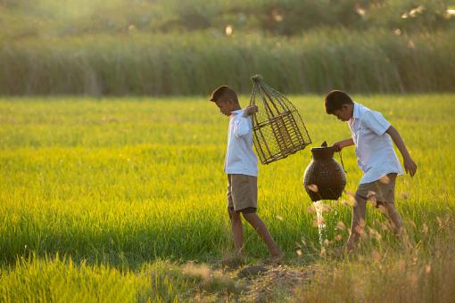 属蛇男孩五行喜水名字大全 属蛇男孩五行喜水名字大全