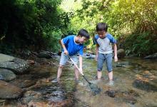 2025年五行属金男孩名字姓庞-好运起名网