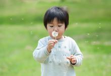 纪茜菲名字好吗|纪姓男孩名字严选368个-好运起名网