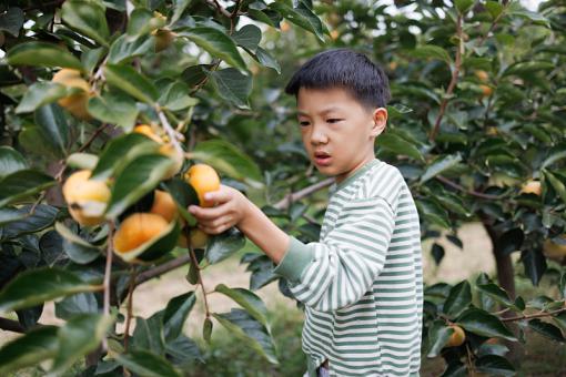 姓钟男孩名字响亮有底蕴