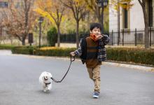 属蛇男孩名字姓路温柔好听-好运起名网