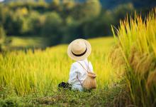 男孩名字姓季寓意好-好运起名网