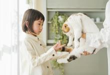 女孩五行喜金名字-好运起名网