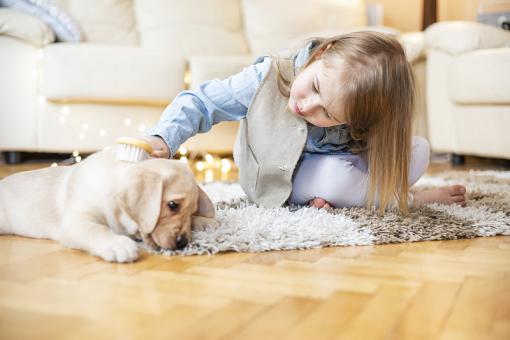 姓洪名字缺土女孩名字 姓洪名字缺土女孩名字