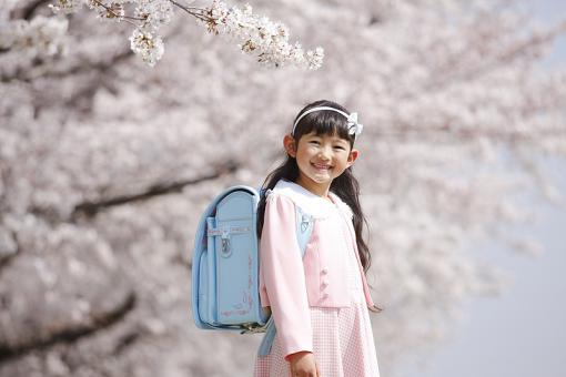 姓范女宝宝名字高贵大气