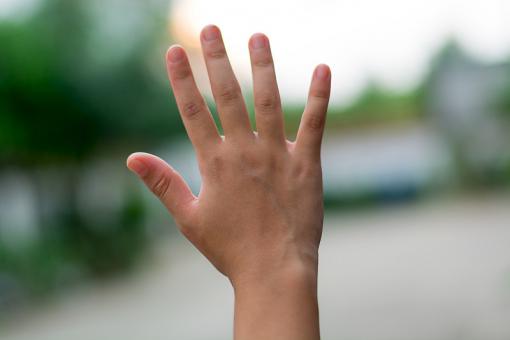 蛇年姓赵五行喜火女孩名字