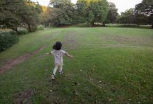 名字缺木的女孩名字大全2025年-好运起名网