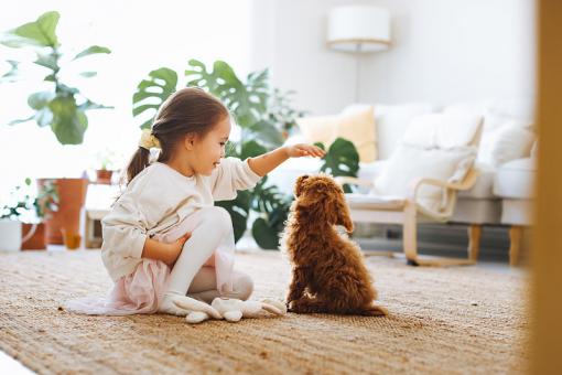 姓章诗句中儒雅大气宝的名字 姓章诗句中儒雅大气宝的名字