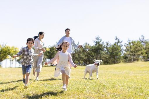 五行缺木木女孩名字贵气 五行缺木木女孩名字贵气