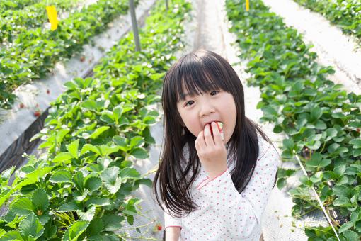 女孩名字取自诗经
