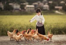 女宝宝名字简短属小龙-好运起名网